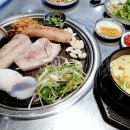 조선도야지 이미지