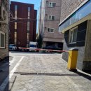 개이쁜냥 이미지