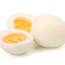 단백질하우스 이미지