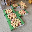 번암농장 이미지