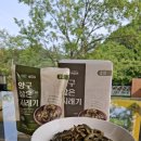 양구 벌꿀 이미지