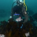 대진수산 이미지