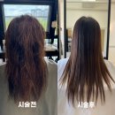 헤어셋틀러 이미지