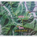 편백산림욕장 진입로 이미지