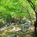 국립유명산자연휴양림 이미지