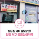 검단아라태평양약국 | 2025 인천 서구 공공심야약국 6곳 안내｜운영시간·위치·연락처 총정리