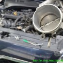 롯데크리닝 이미지