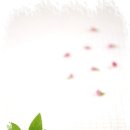 맑은사람들 Daum카페