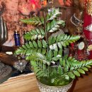 보광모텔 이미지