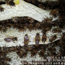 산영농장 네이버블로그