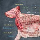 meat고 이미지