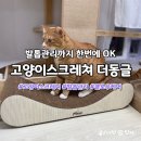 고양이스크래쳐 발톱관리 클로우케어까지 한번에 OK, 더동글 사용후기