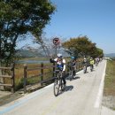 [당일여행] 5/2 토요일 함평 나비축제와 함께하는 함평 자전거 라이딩~~~ 이미지