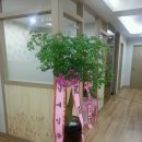 효제한의원 이미지