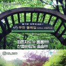 바다의숲속 이미지