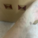 신각길1 | 여름 지나 가을