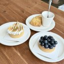 안나파크 | [동탄 카페]동탄 센트럴파크 타르트맛집 안나의 디저트 내돈내산 후기