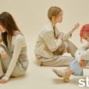 톱제화 이미지