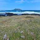 성읍리-9 이미지