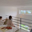 스테이 사이 이미지