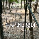 오월드 | 대전오월드 늑구 후기