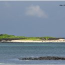 제주 토끼섬 문주란자생지 이미지