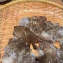 대물수산 - 홍성군 서부서길 249 | 대물수산