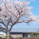 달코네민박 이미지