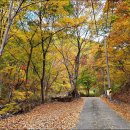 기룡산 등산로6 이미지