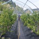 하늘뜰 농장 이미지