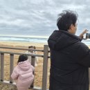 남애초등학교 이미지