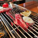 스시화로 이미지