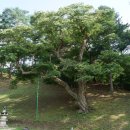 법흥사징효국사부도 | [강원] 2026, 영월 … 1. 법흥사