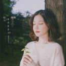 새봄이야 이미지