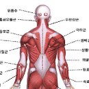 지엘필라테스 - 고양시 덕양구 꽃마을로 42 | 지엘필라테스