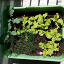 세종성모소아청소년과의원 이미지