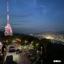 2020-03-0066 | 나가사키 당일치기 여행 이나사야마 전망대 가는법 무료버스 총정리