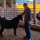 박영철농장 이미지