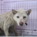 진산대로 이미지