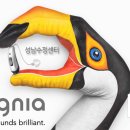 시그니아 독일보청기 성남수정센터 이미지