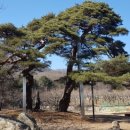 신명나는 우리소리 가락장구 이미지