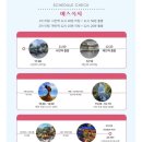 천등농장 | [대만🇹🇼여행] 부산(PUS)-타이페이(TPE) 3박 4일 12월 여행✈️ 경비 대만 성수기 여행 비용 비행기부터...