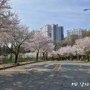 청북도서관 이미지