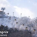 2023.1.30(월)~31(화) 휘닉스 평창 리조트 스키 및 겨울설국 즐기기 이미지