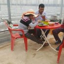 정심농장 이미지