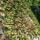 충의목장 이미지