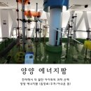해바람에너지 | 양양 가볼만한곳 아이와 실내 나들이 추천! 양양 에너지팜 평일 방문 꿀팁 및 솔직 후기