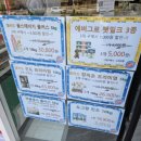 펫클럽광주주월점