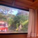 황금박쥐캠핑장 | 춘천 - 숲속 캠핑 감성 미니 카라반 후기 황금박쥐캠핑장