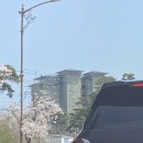 GS칼텍스 경포주유소 이미지